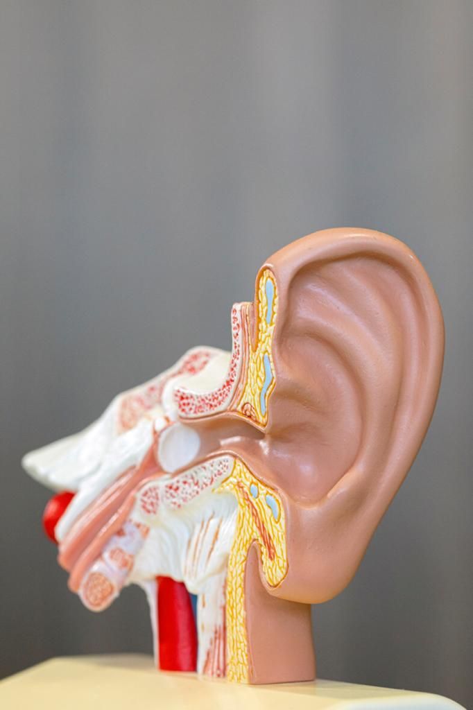 Luiz Henrique Carboni-1