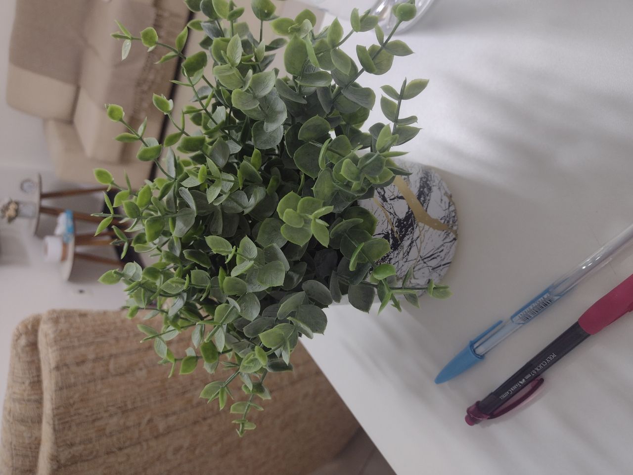 Roselene Aparecida De Paiva-10