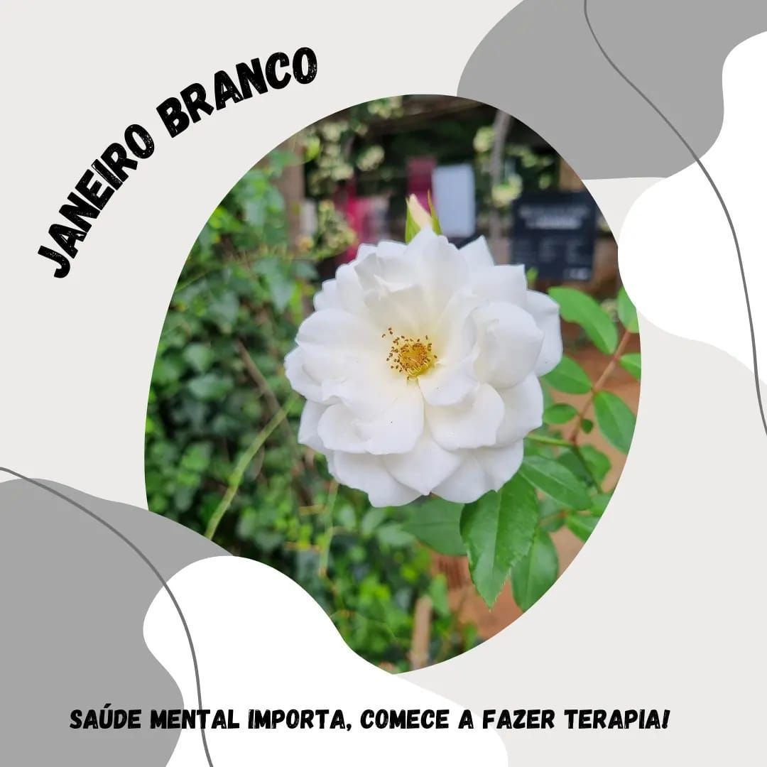 Gabriela Ferreira De Almeida-110