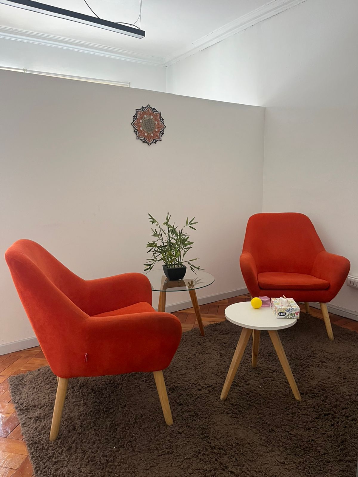 Alicia Paz Avalos Caballero-0