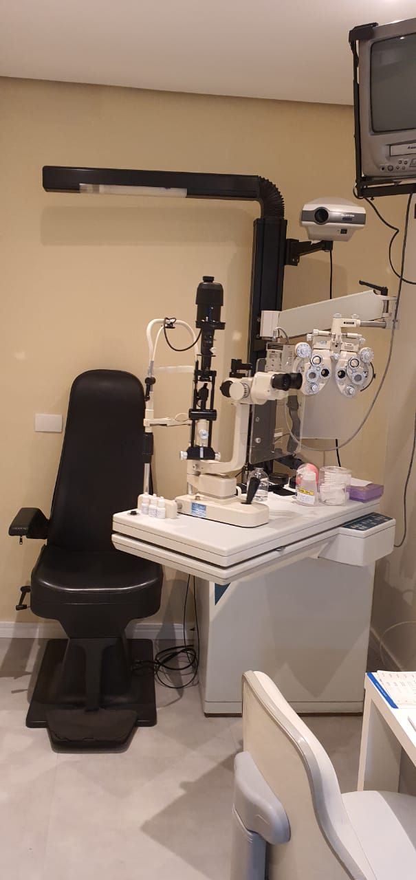 Sandra Cayres Naufal-1