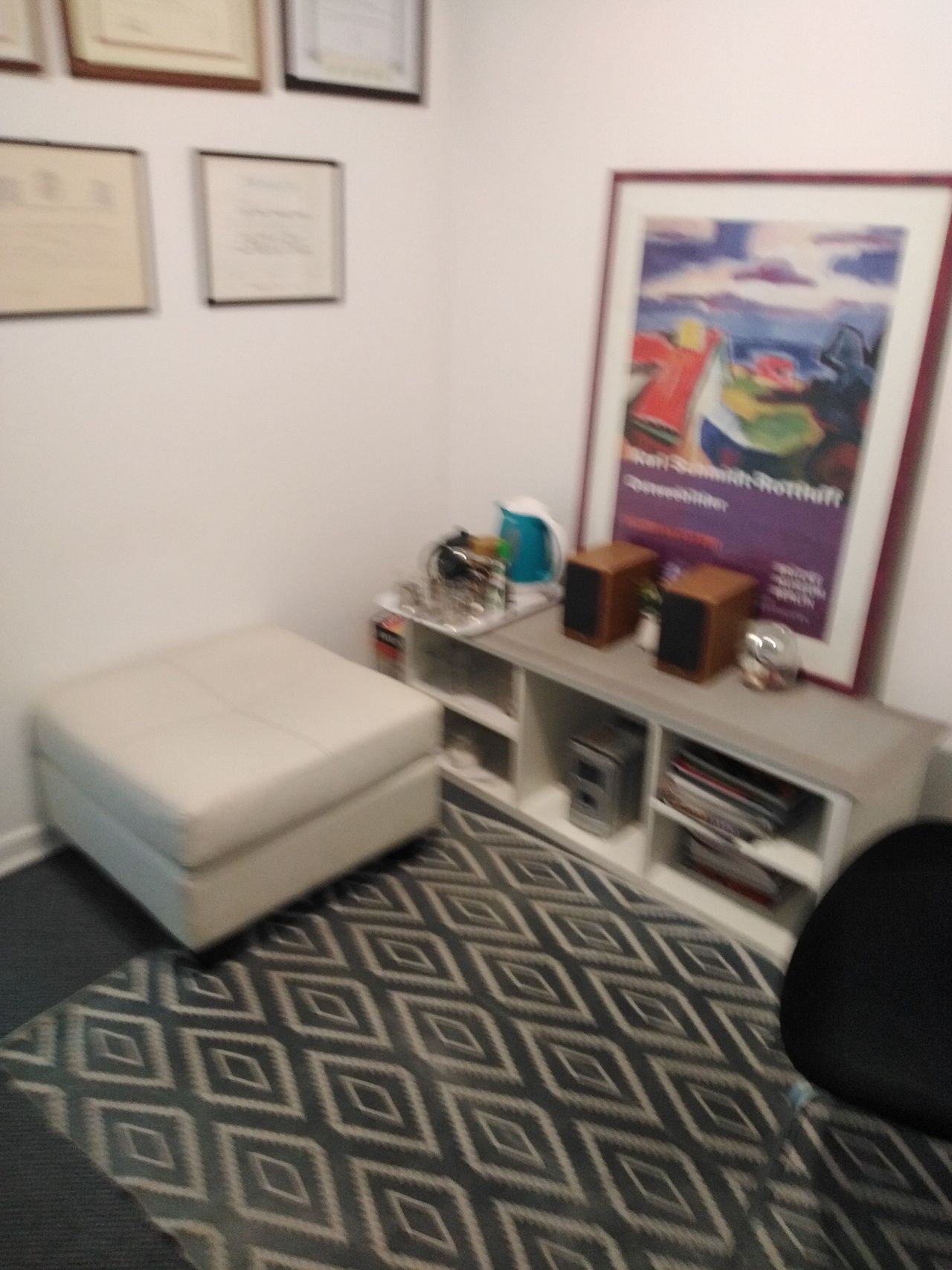 Leonor Vergara Barreau-3