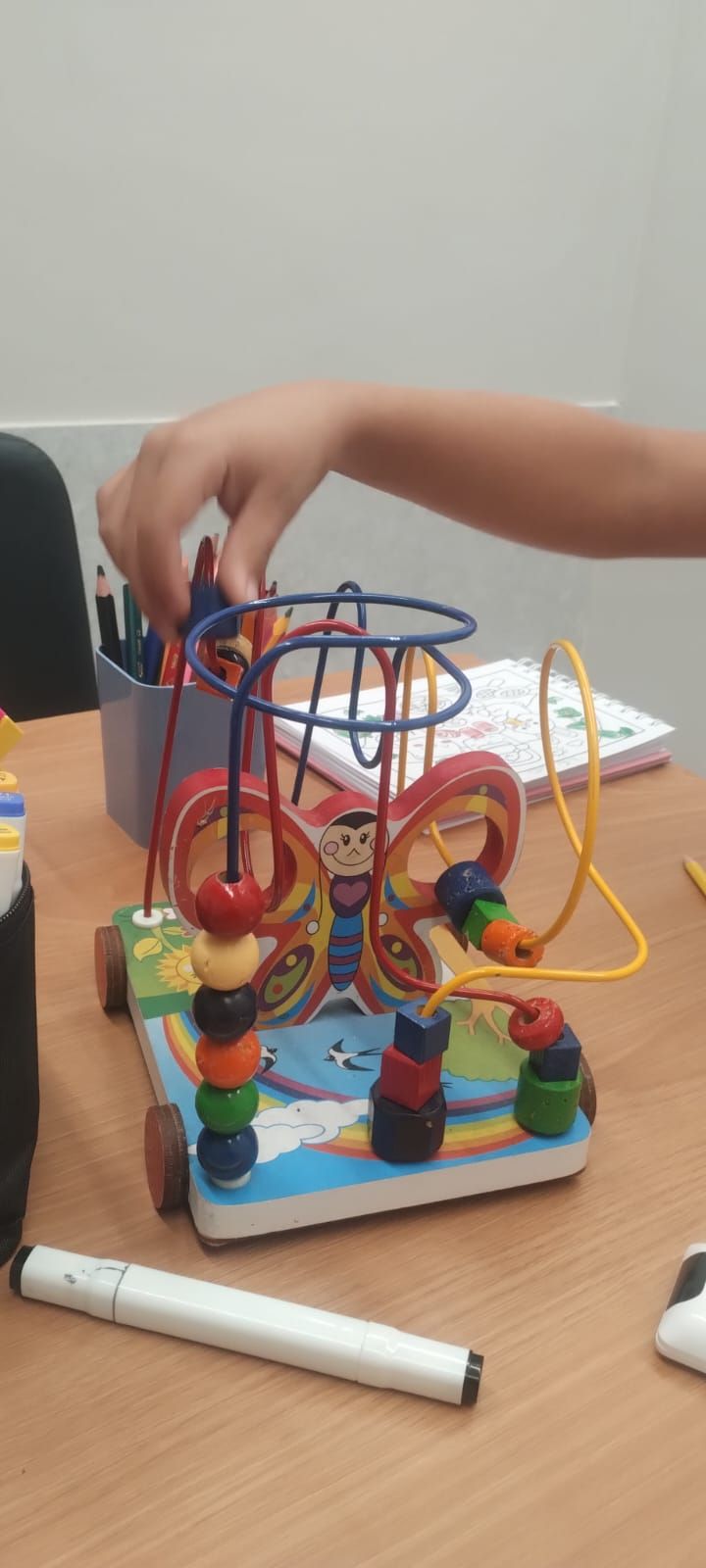 Carla Lorena Nêdes-2