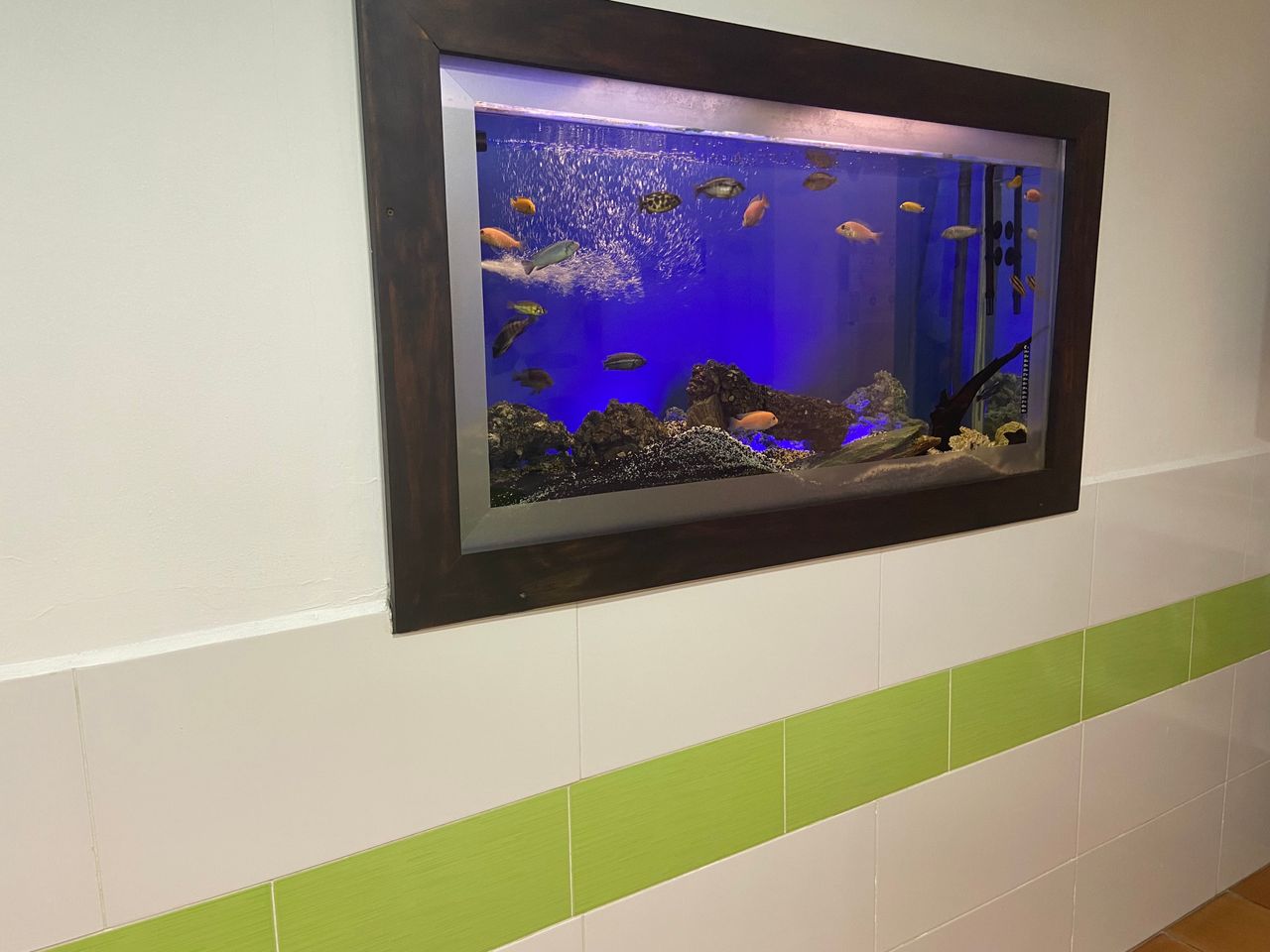 Jorge Alberto Puerta Ortega-10