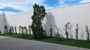 Bruno Daniel Autiero Costa-2