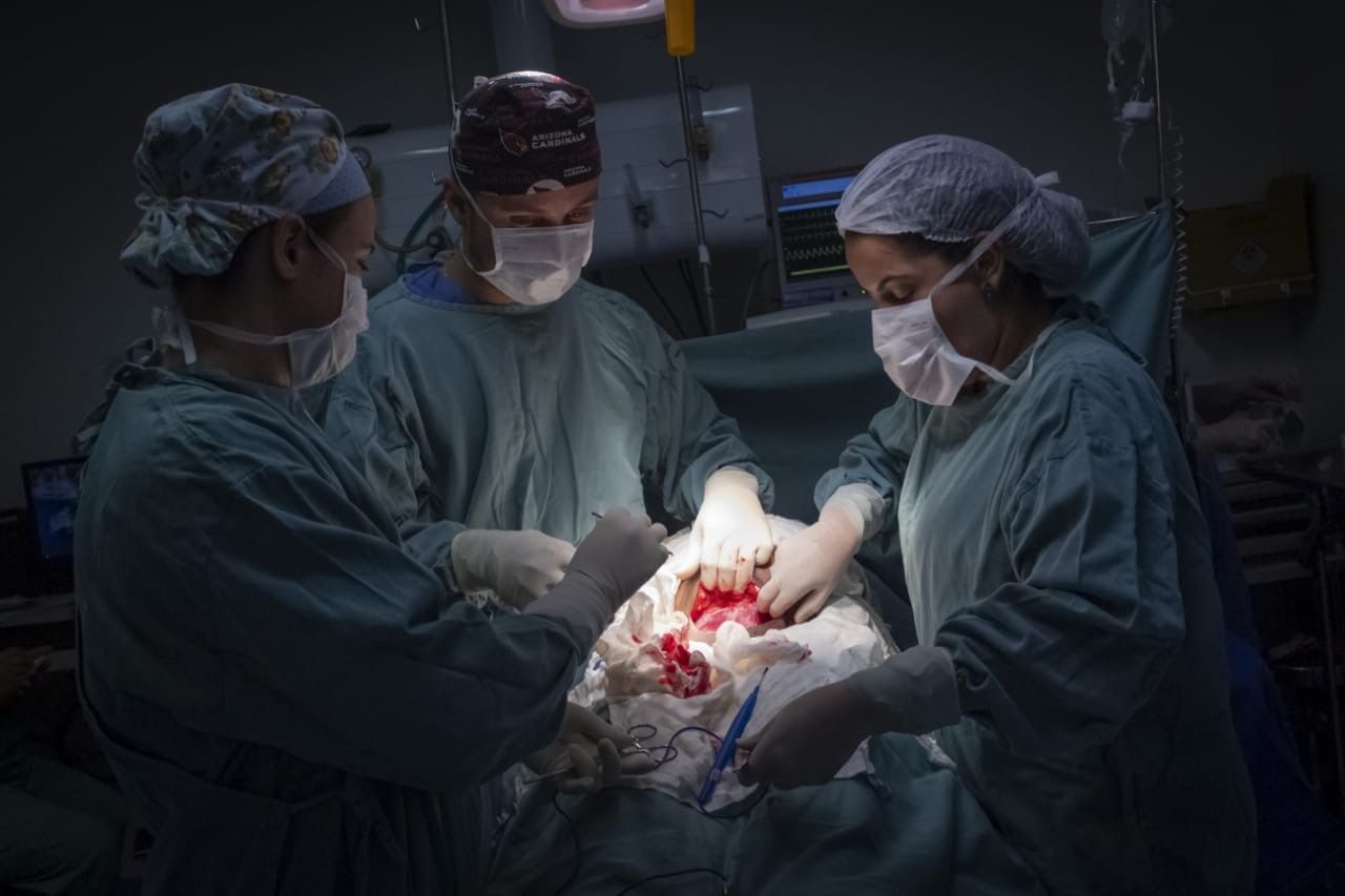 Janayne Cristina Pereira De Oliveira-2