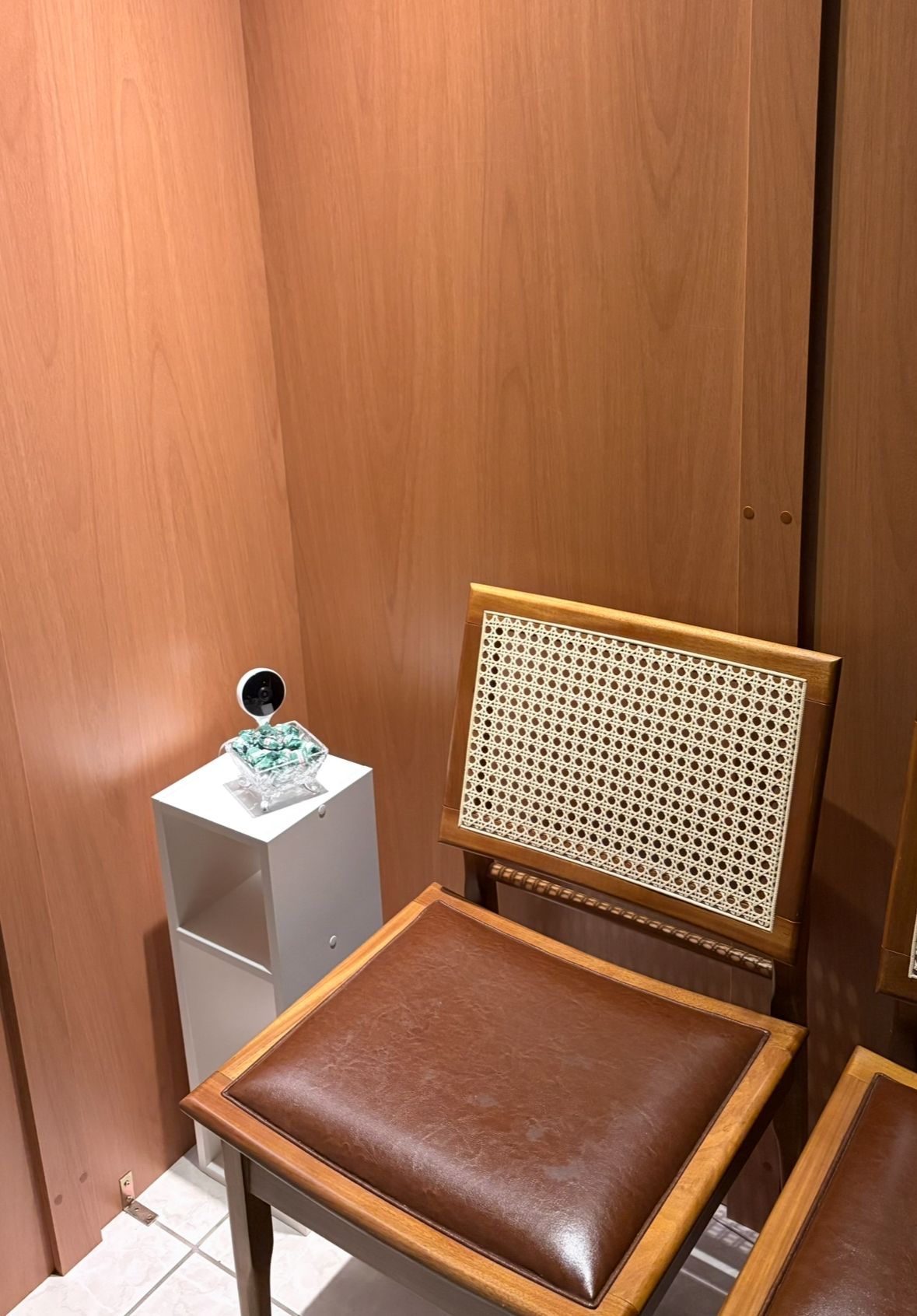 Rachel Castanheira-1