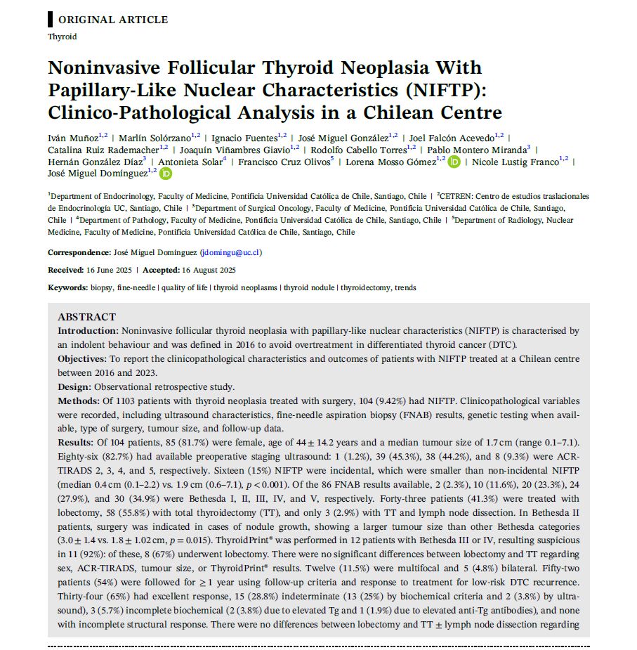 José Miguel Domínguez Ruiz-Tagle-2