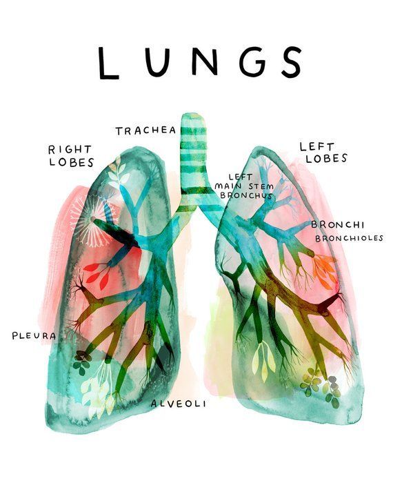 Elias Lap Cheong Lau Rodriguez-0