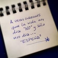 Viviana Carolina Urrutia Moscoso-8