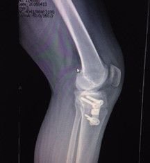 Eduardo Ramalho De Moraes-30