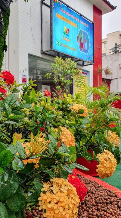 Juliana De Souza Motta-0