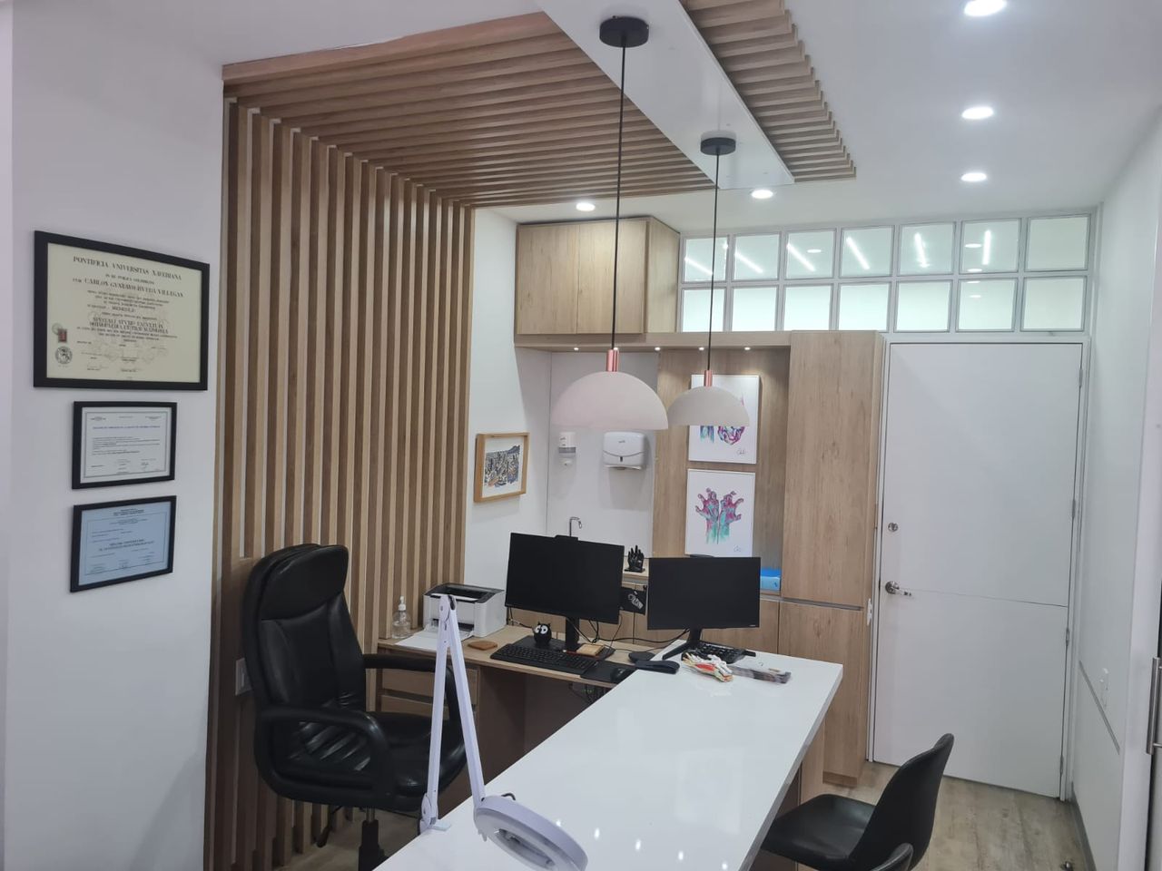 Carlos Gustavo Rueda Villegas-3