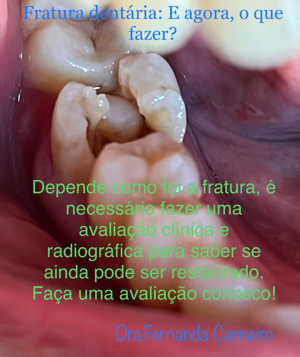 Fernanda Carneiro Pinto-8