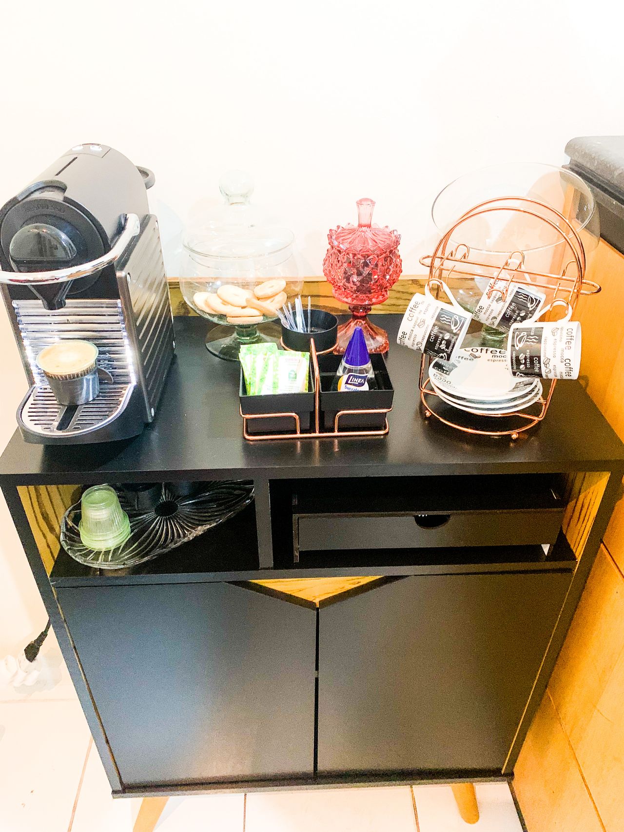 Bruna M L Villela-11