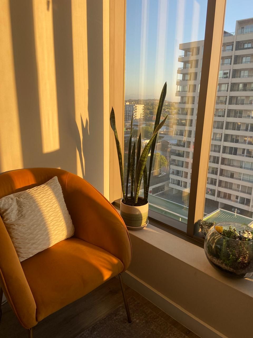 Verónica Álvarez-10