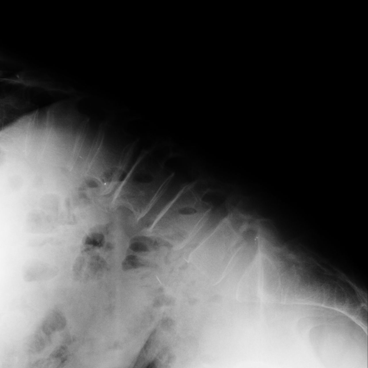 David Tafur Muñoz-1742