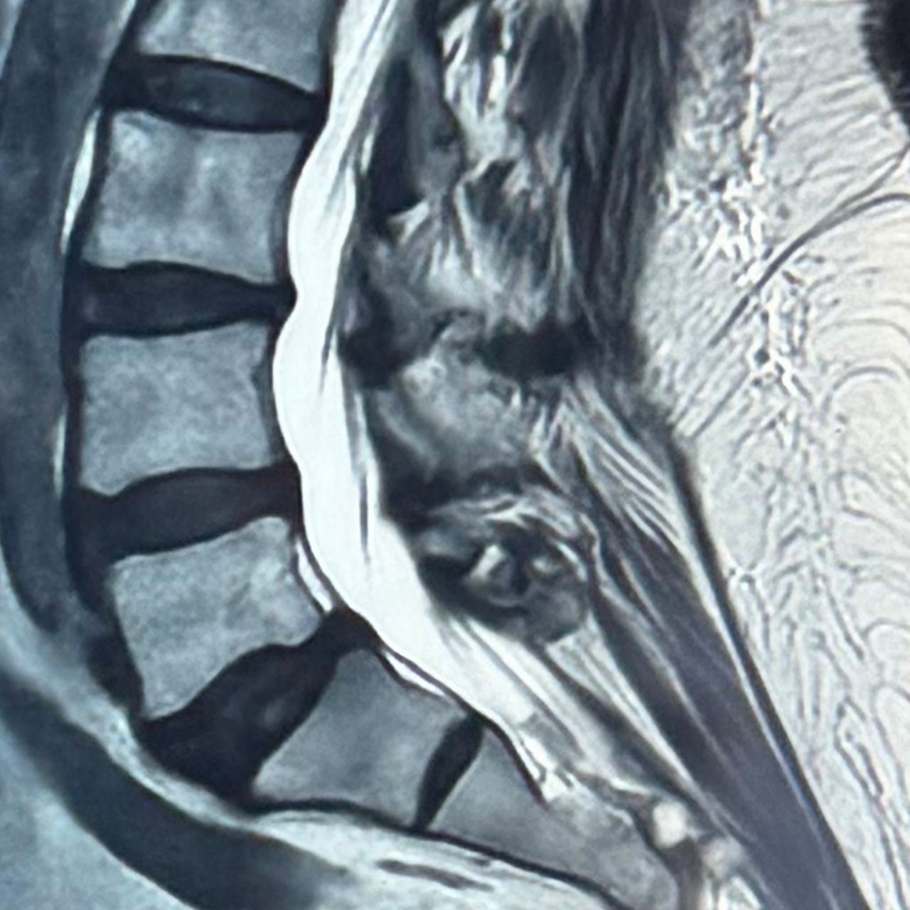 David Tafur Muñoz-2366