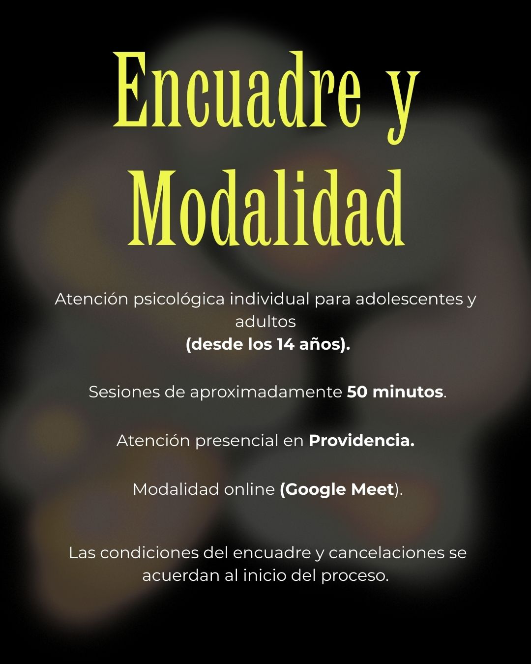 Vicente Maximiliano Martínez Cobo-4