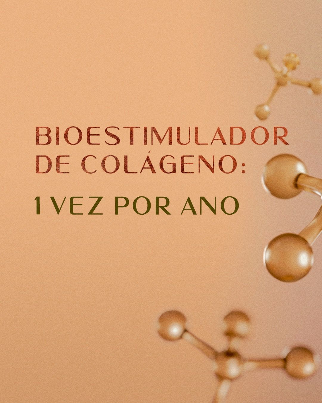 Juliana Mossini Nicoliello-13