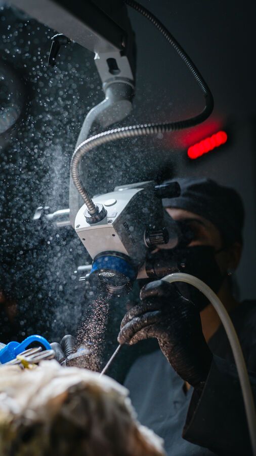 Ana Carolina Pires De Mello-4