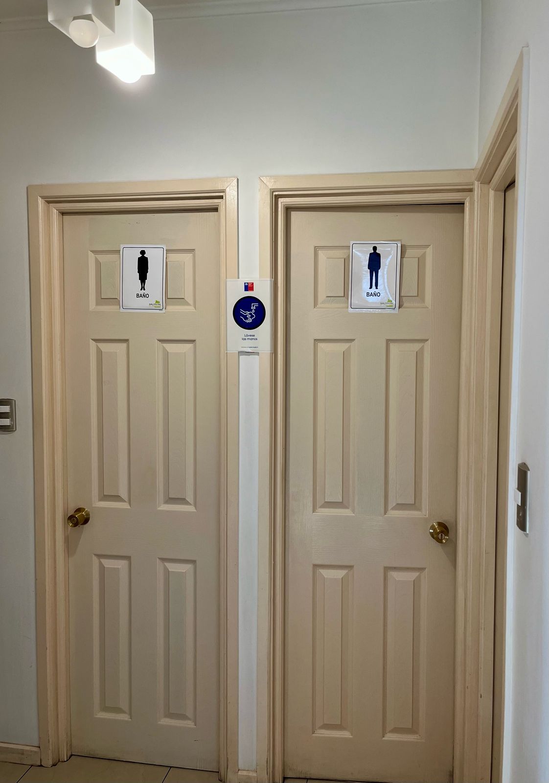 Javiera Manoli Velásquez-6