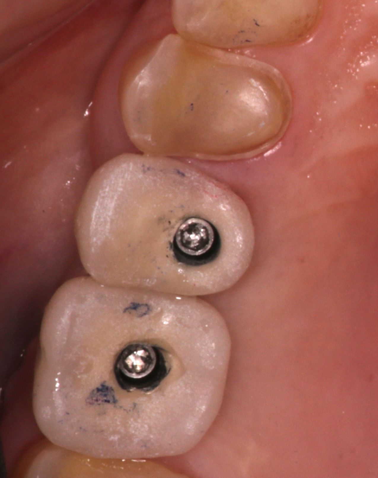 Luis Muñoz Tolhuysen-8