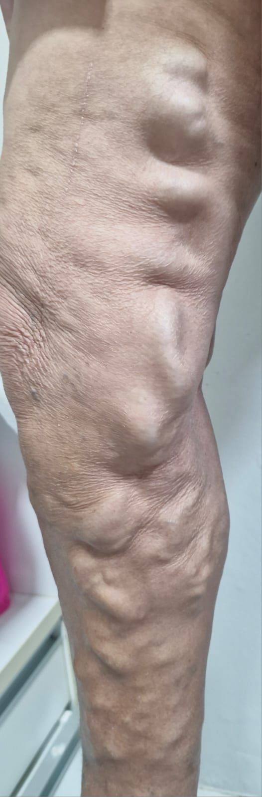 Fernanda De Oliveira Brito-10