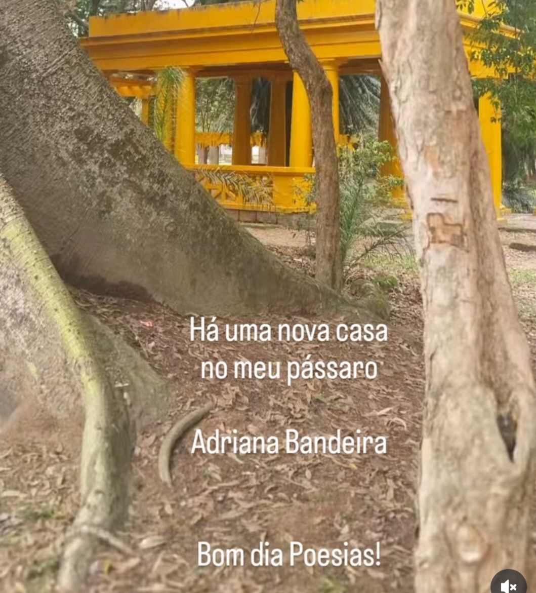 Adriana Bandeira-15