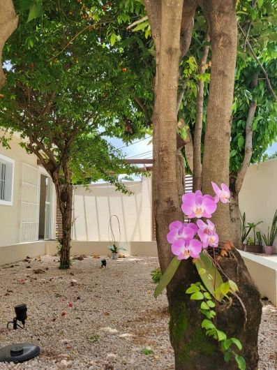 Letícia Martinelli Galhardo-1