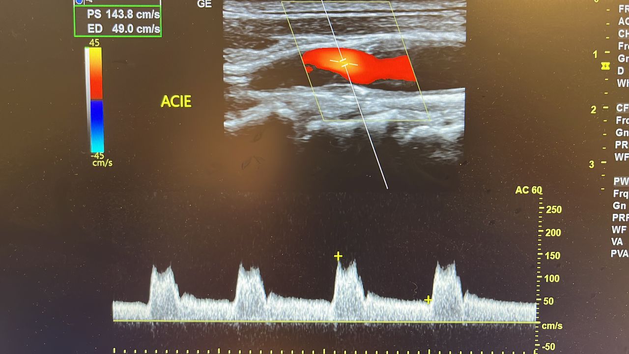 Luciana Mendes Peixoto-3