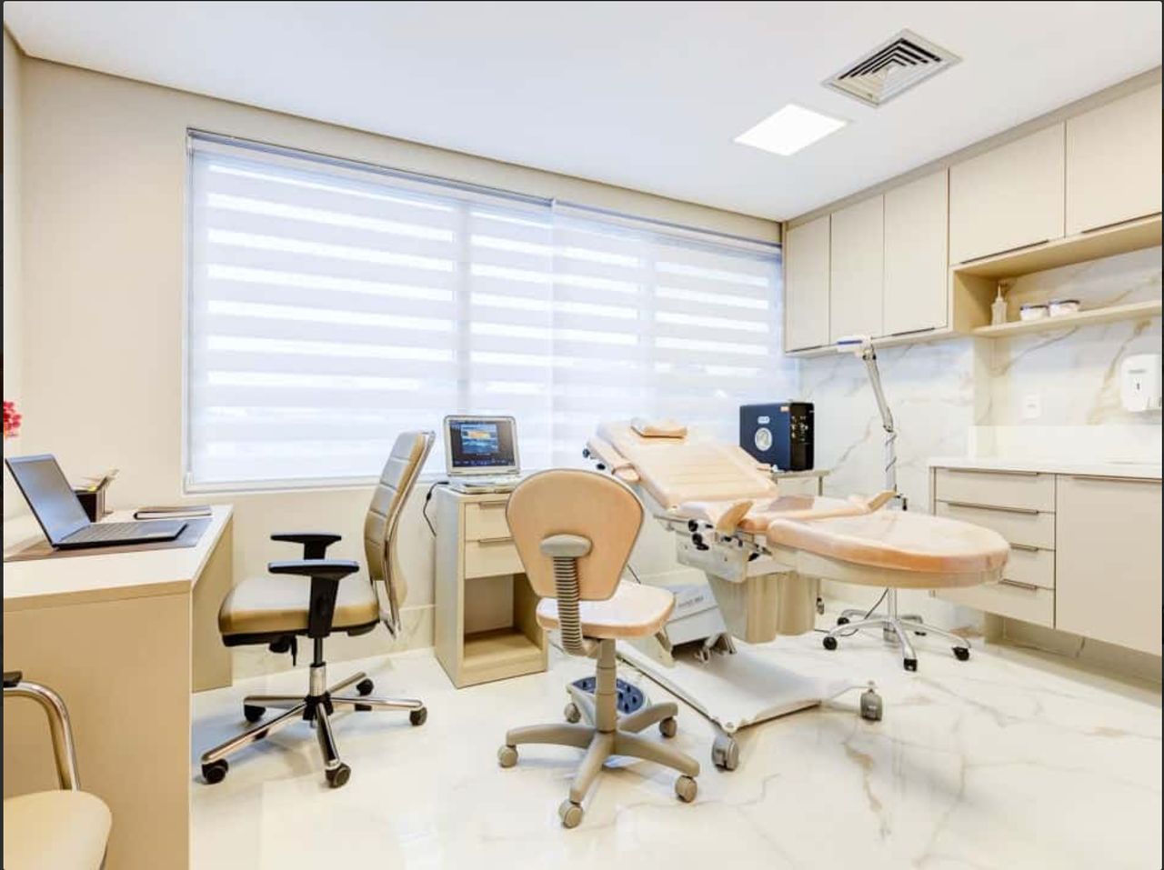 Priscila Fróes Ribeiro-1