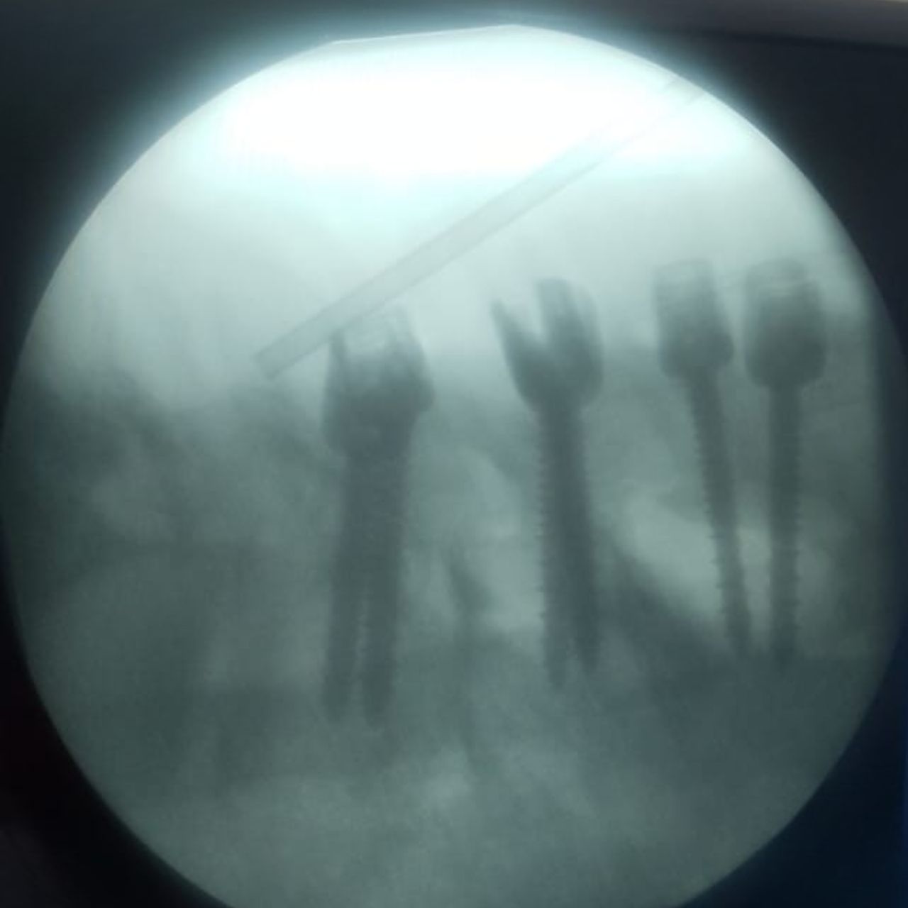 David Tafur Muñoz-2062