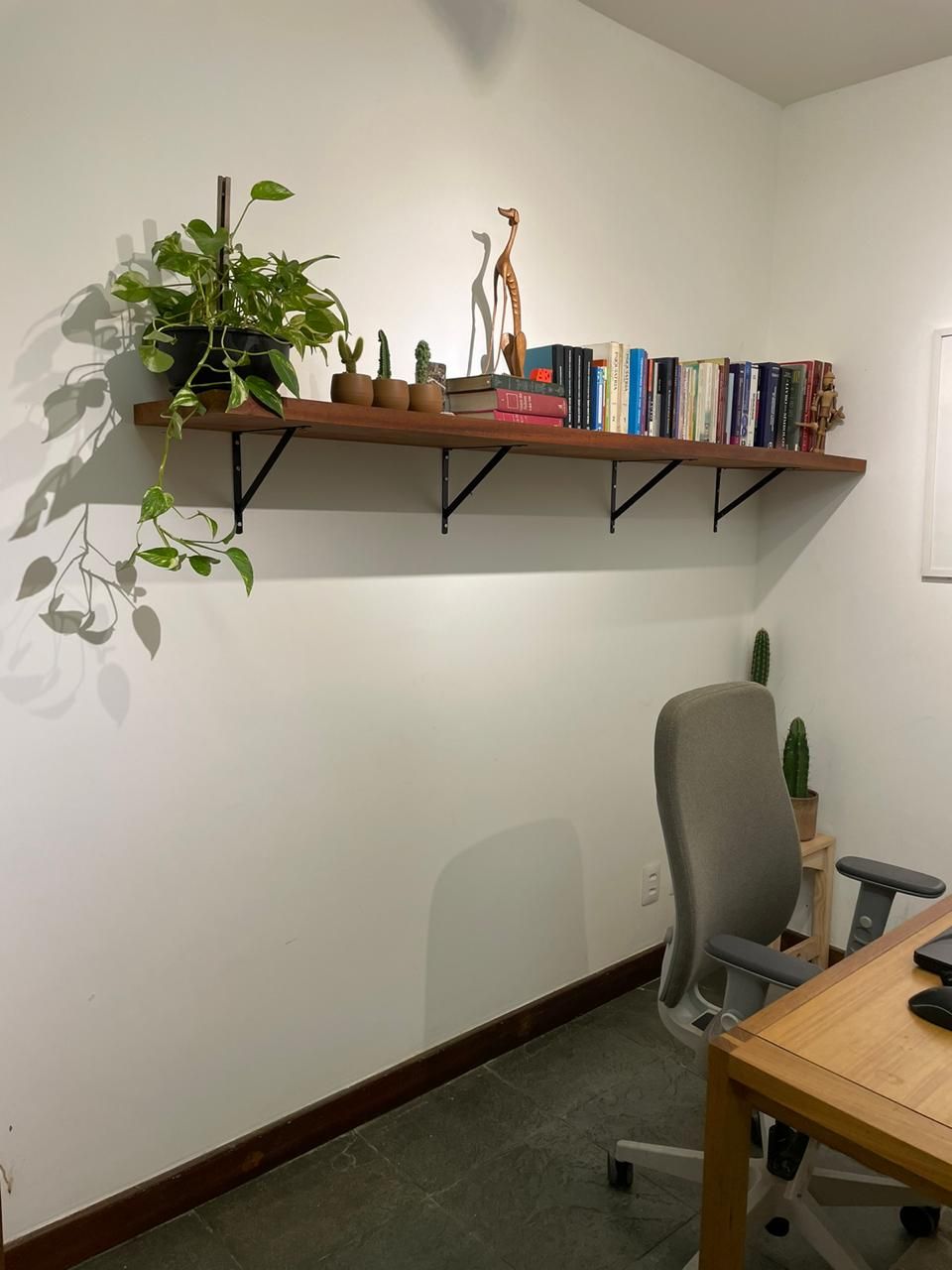 Cássia Dummar Pontes-6