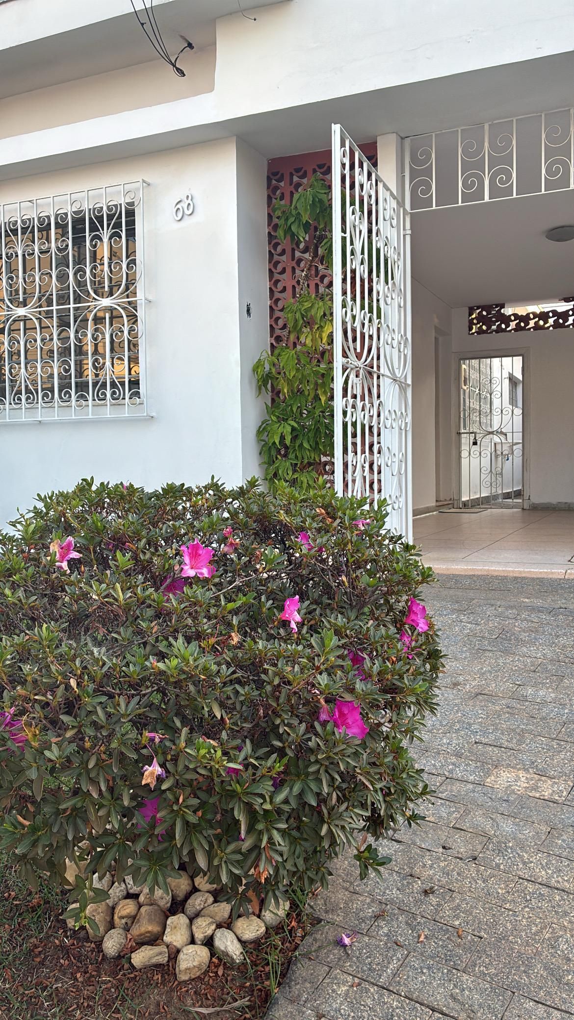 Fabio Nunes De Oliveira-0