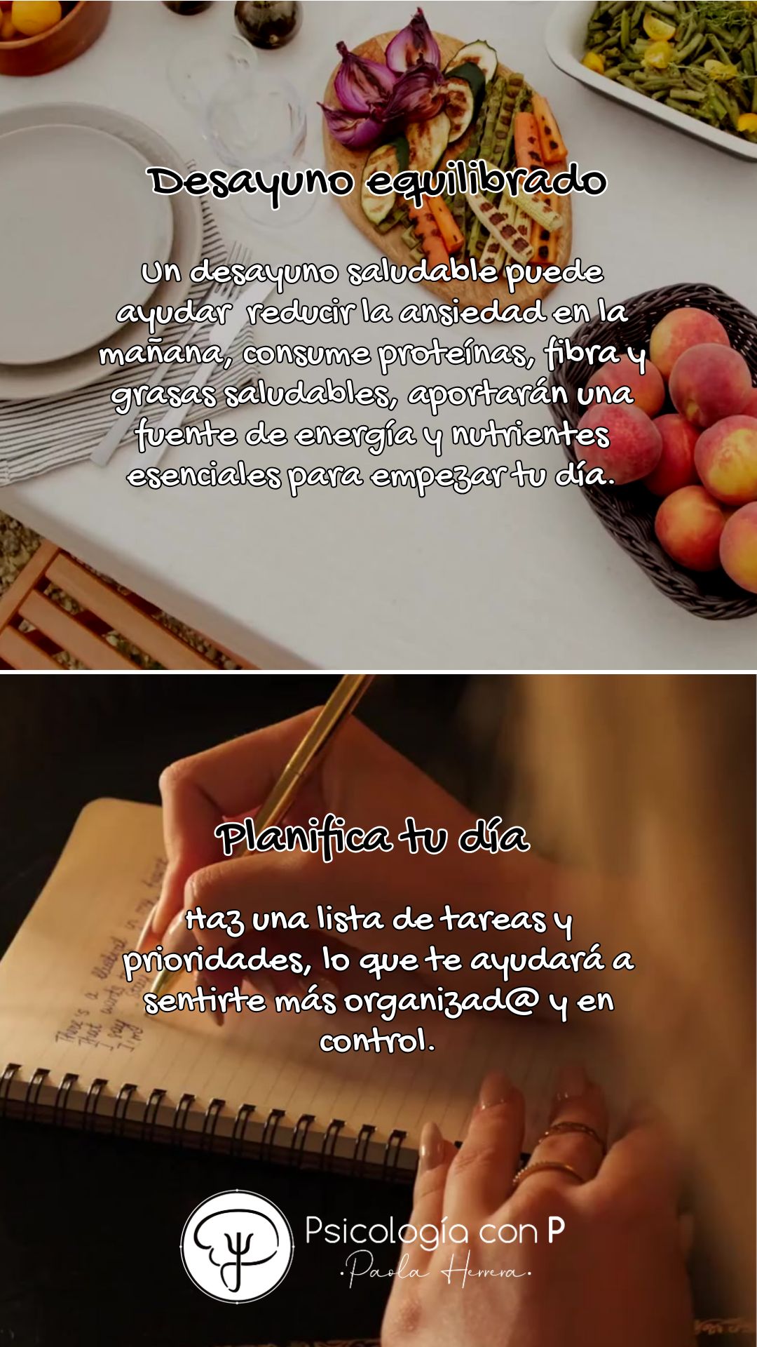 Paola Andrea Herrera Mendez-21