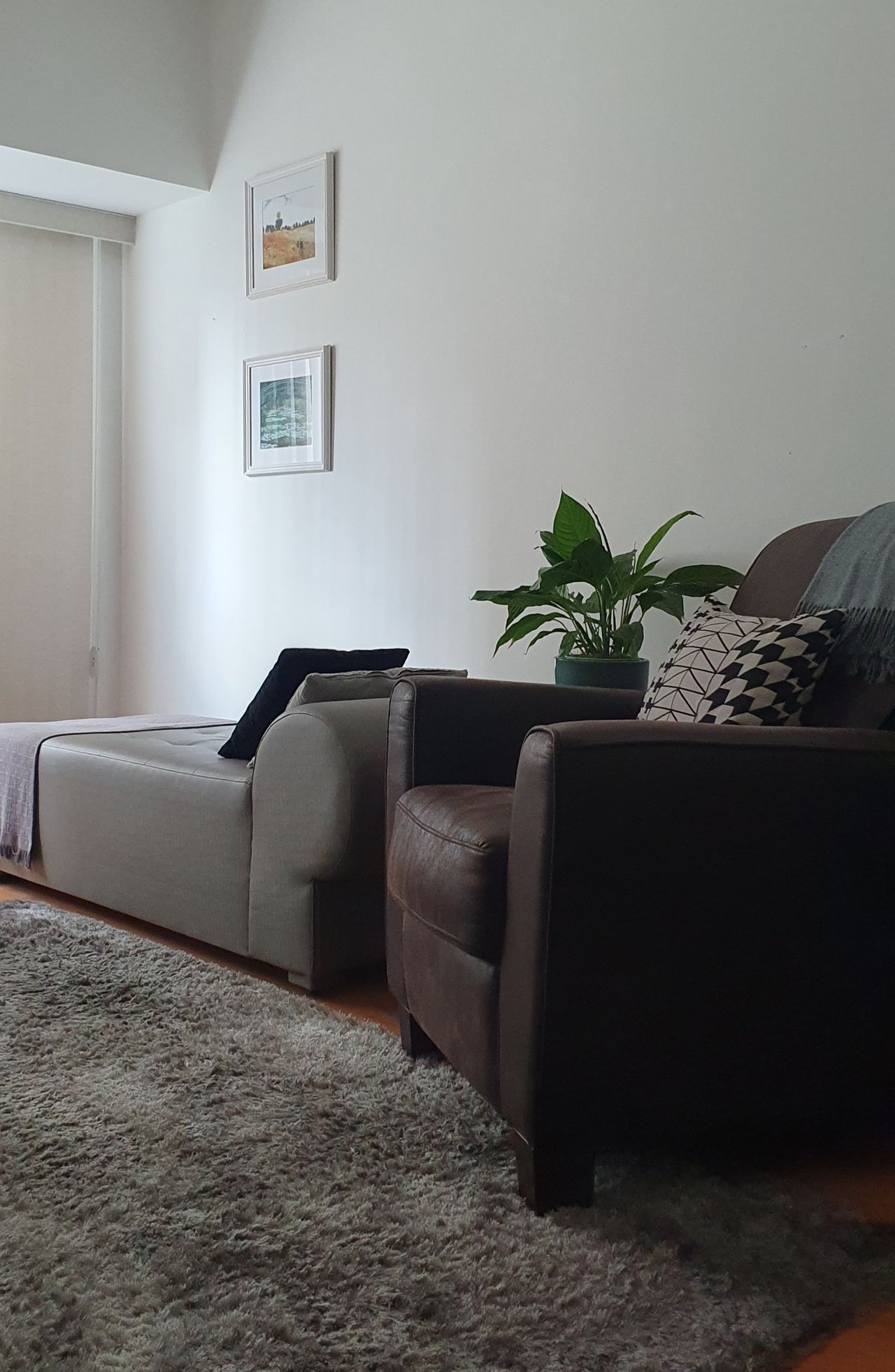 Marcelo M. B. Vieira-0