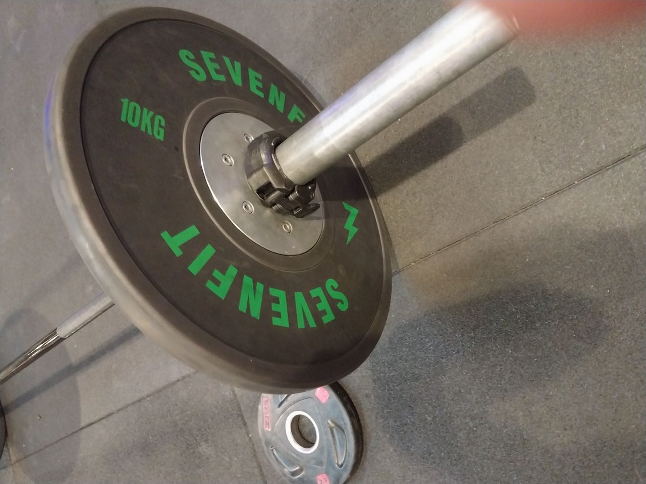 Maria Fernanda Neves-12