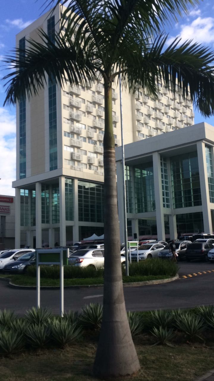 Rogério Alves Barboza-3