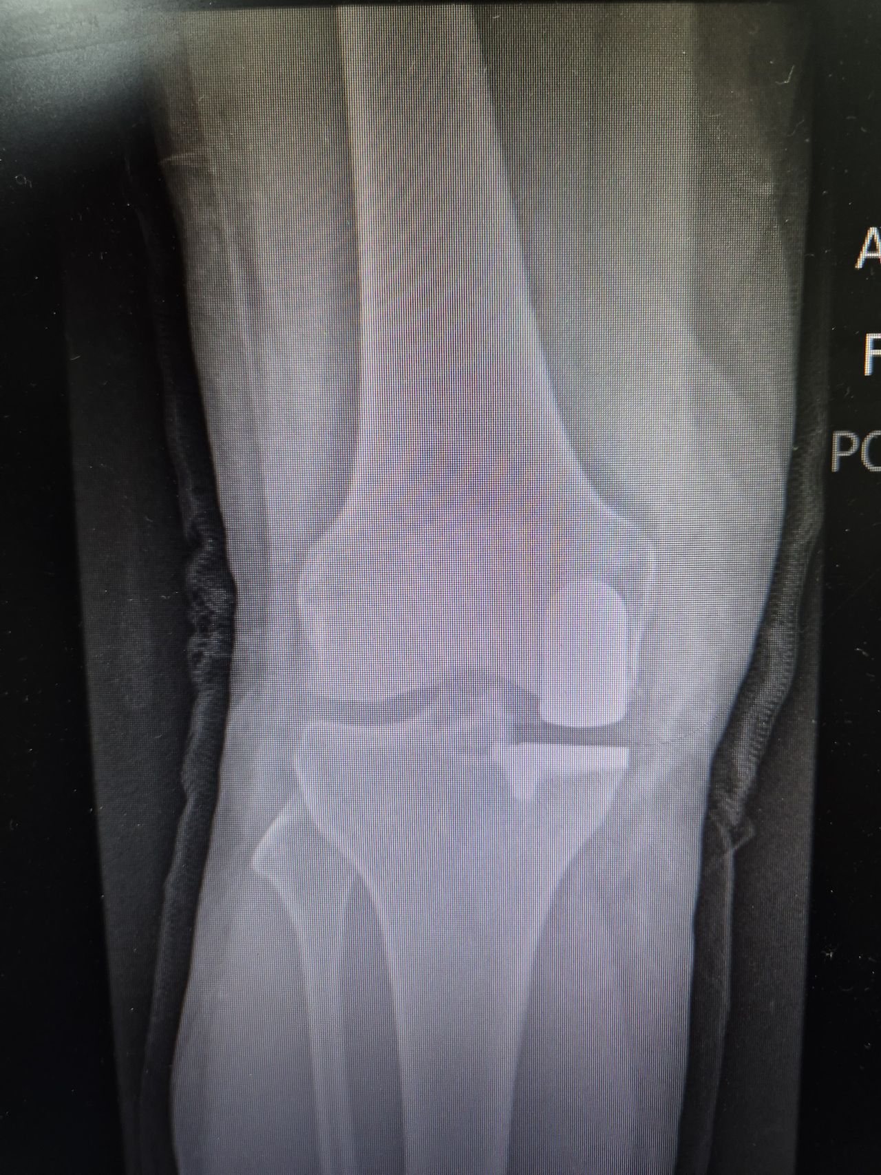 José Vicente Rey Rey-1