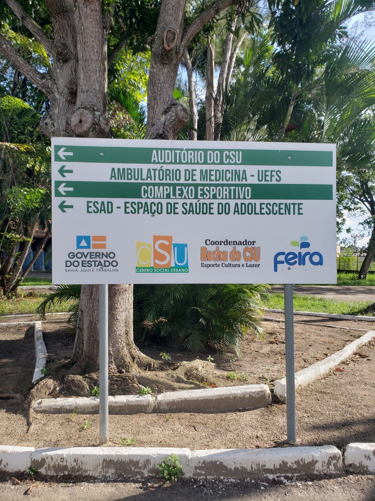 Celia Maria Carneiro Dos Santos-12