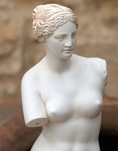 Jose Augusto Araujo Driendl Filho-16