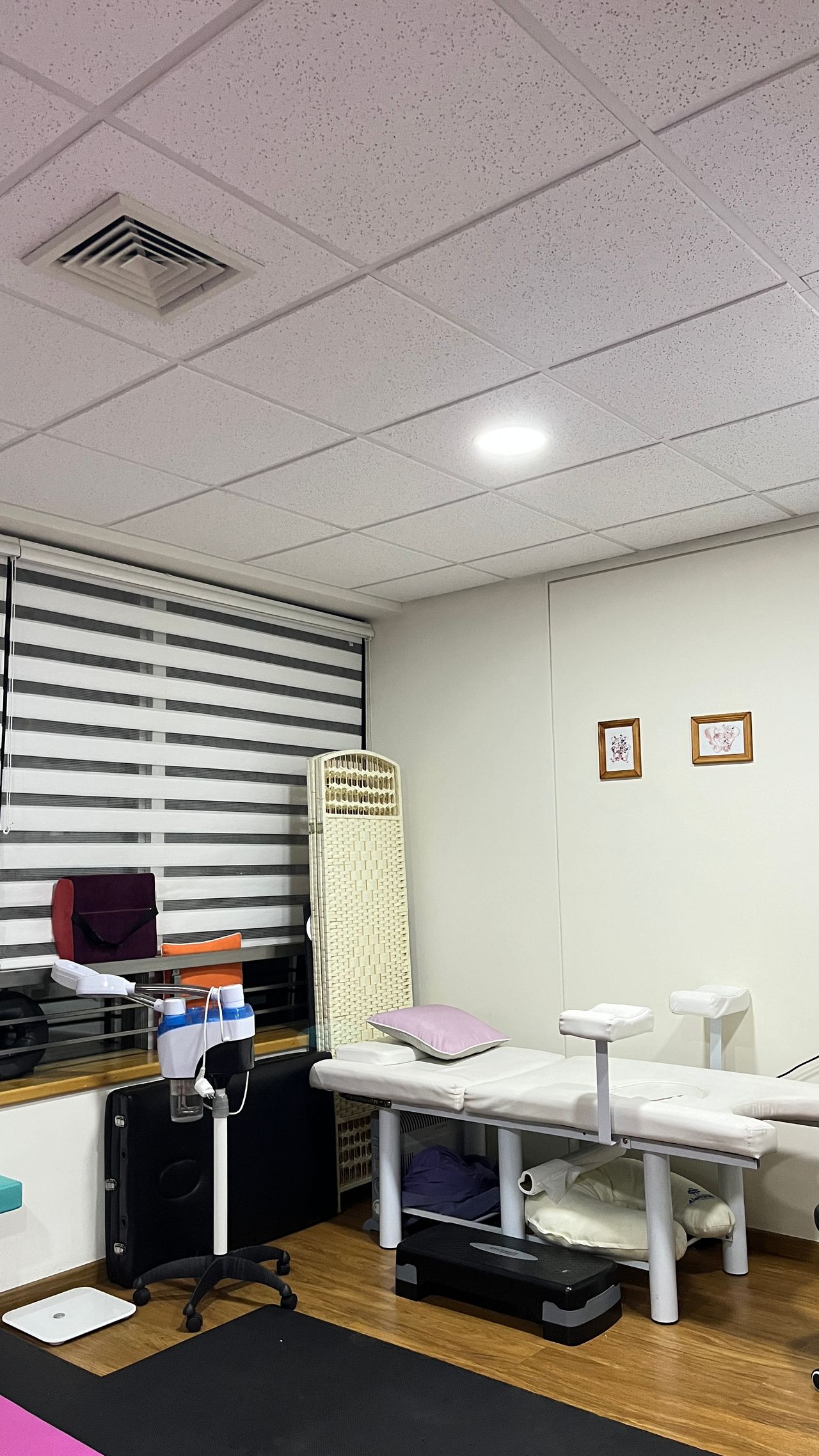 Javiera Belen Santis Espinoza-2