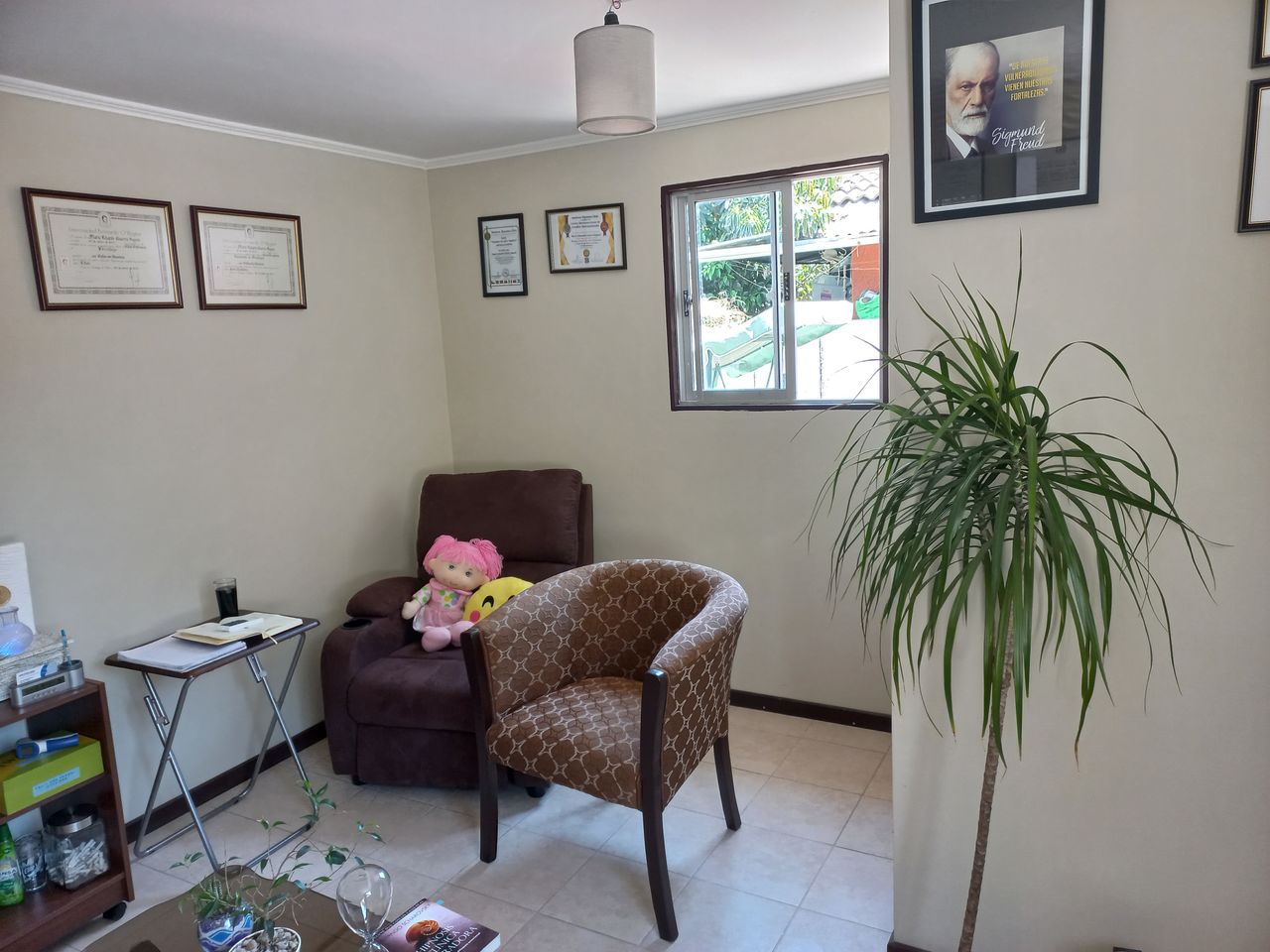 Mario Guerra Segura-5