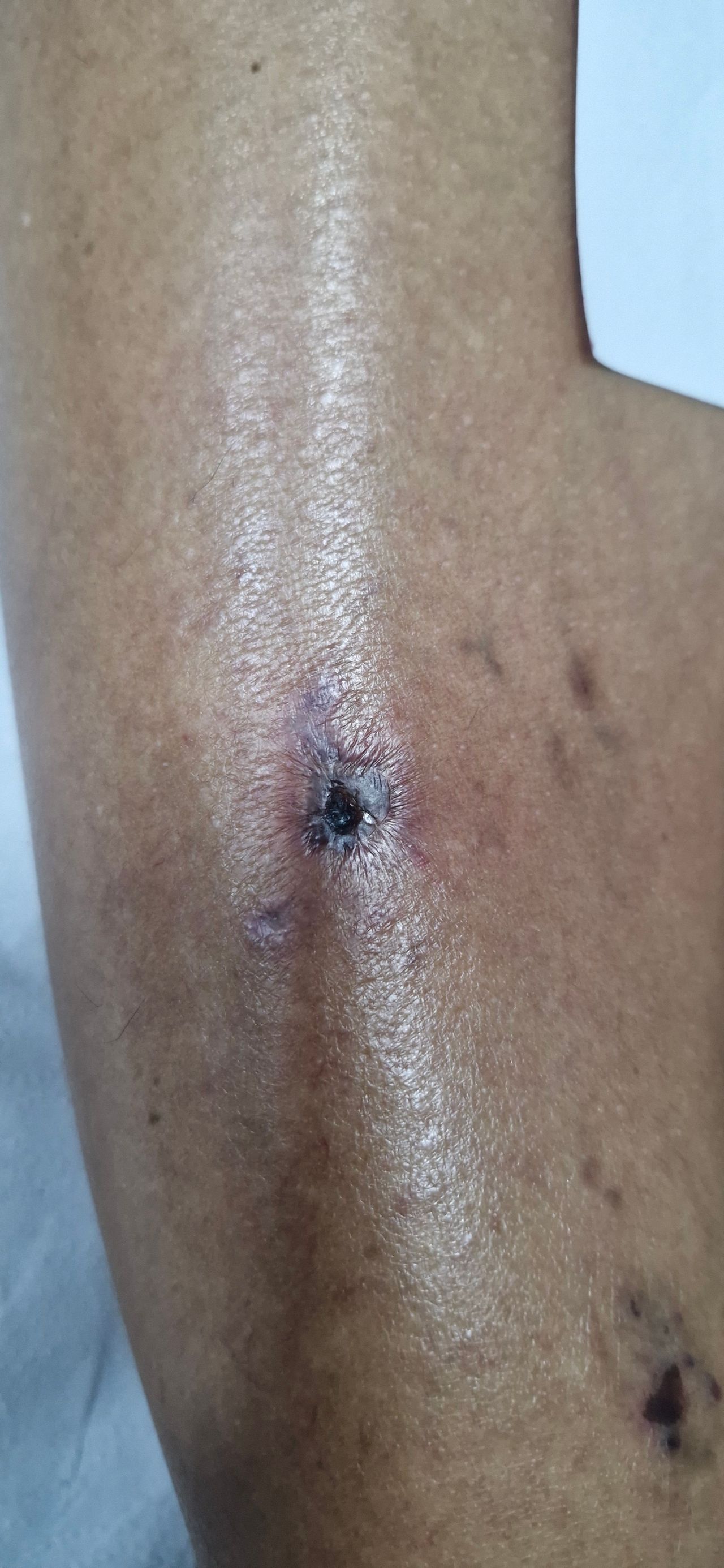 Fernanda De Oliveira Brito-5