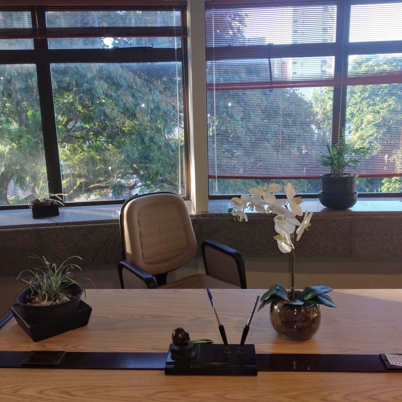 Ana Carolina De Araújo Soares-0