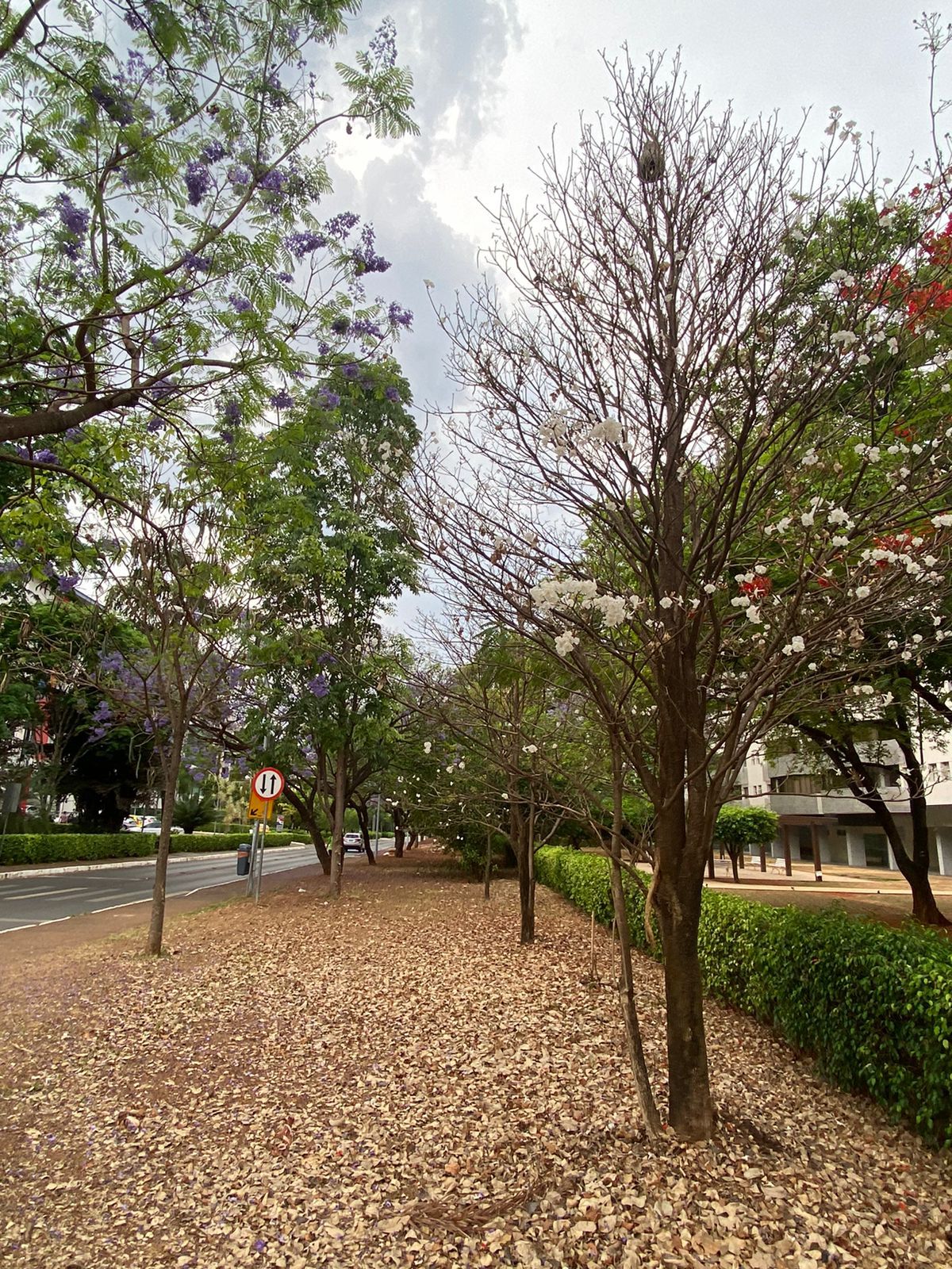 Natália Calábria-20