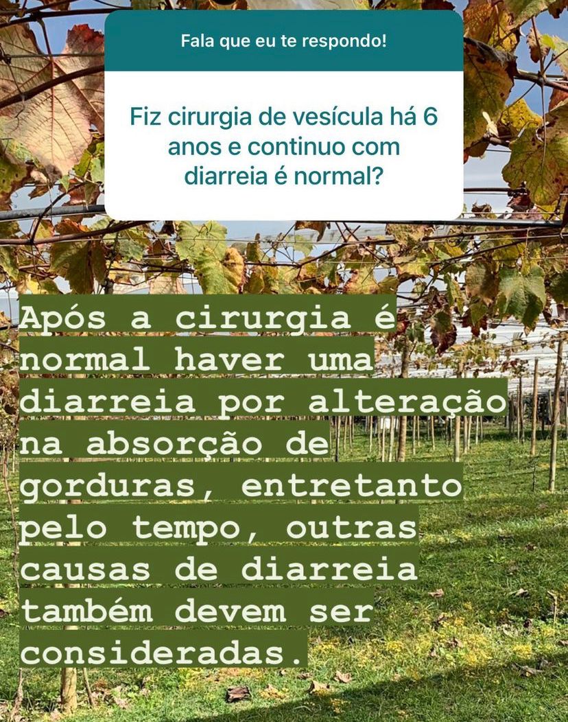 Nelson Bisneto-23