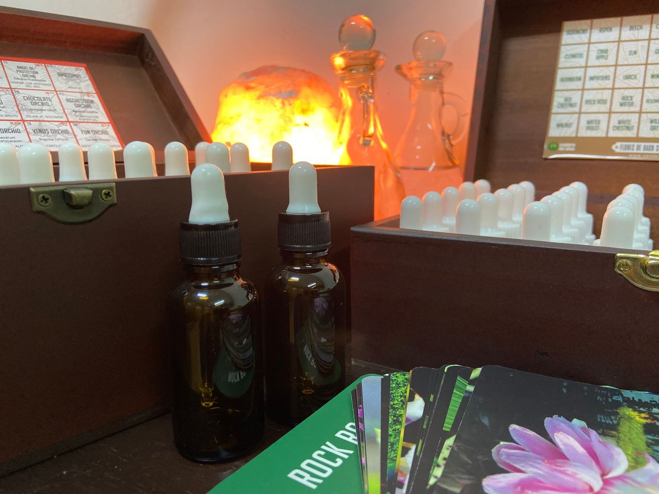 Carla Quezada Obreque-4