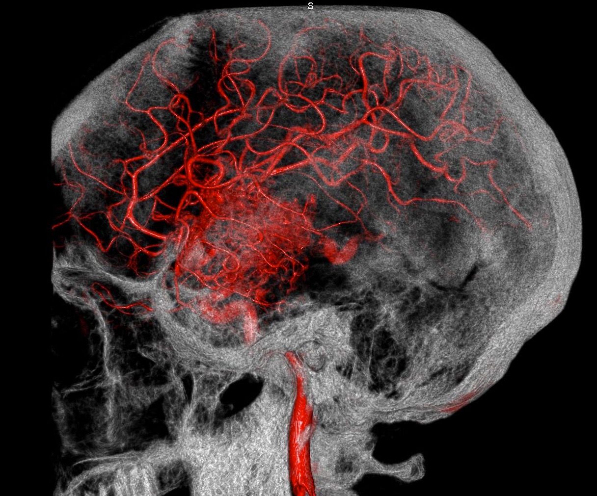 Leonardo Conrado Silva Lima-0